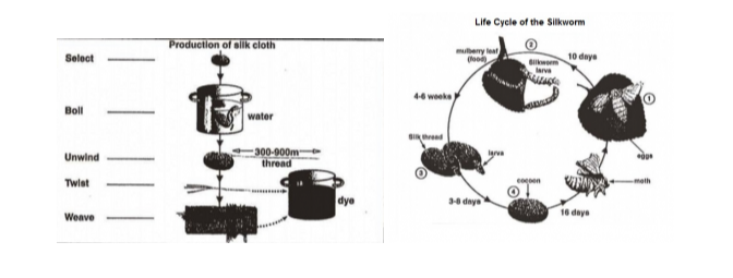 The diagrams below show the life cycle of the silkworm and the stages in the production of silk cloth