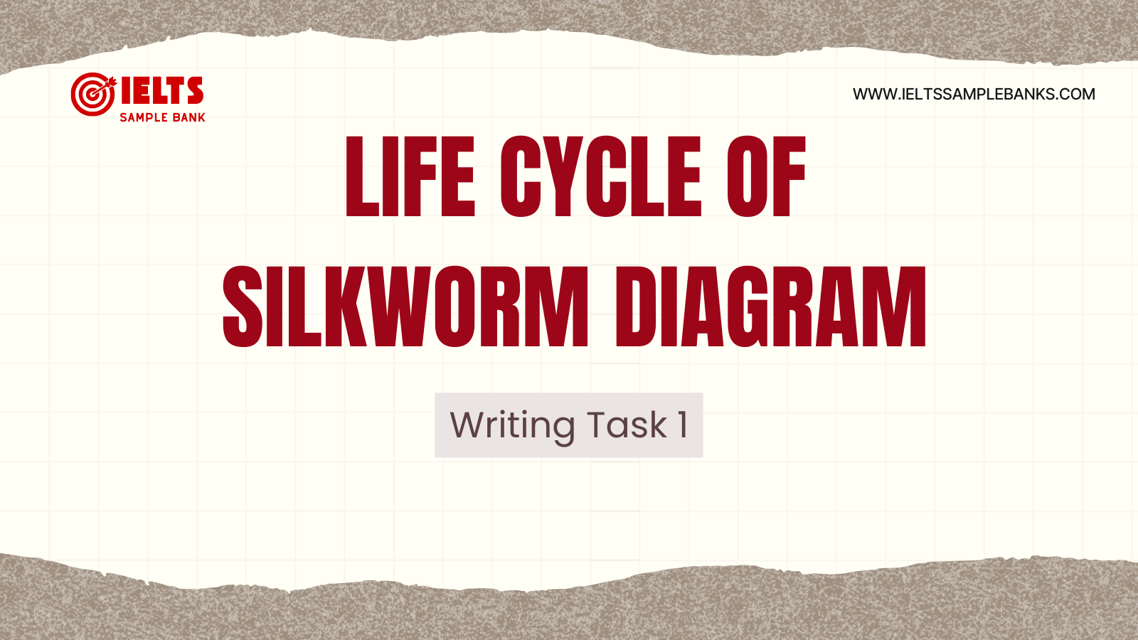 Writing Task 1 - Life Cycle of Silkworm Diagram IELTS