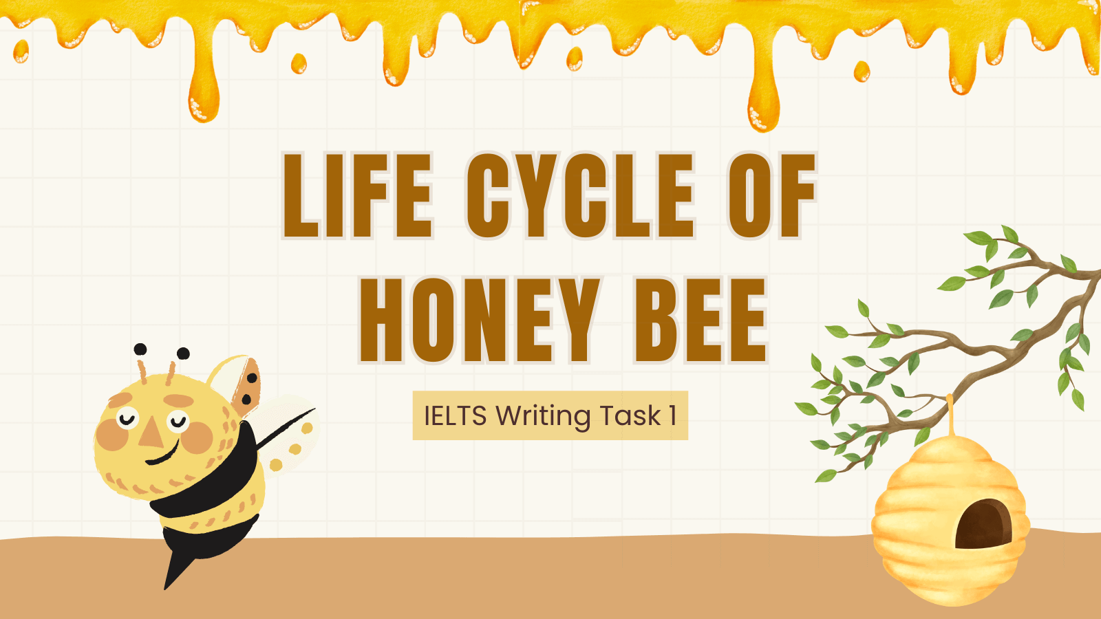 Writing Task 1 - Life Cycle of Honey Bee Diagram IELTS