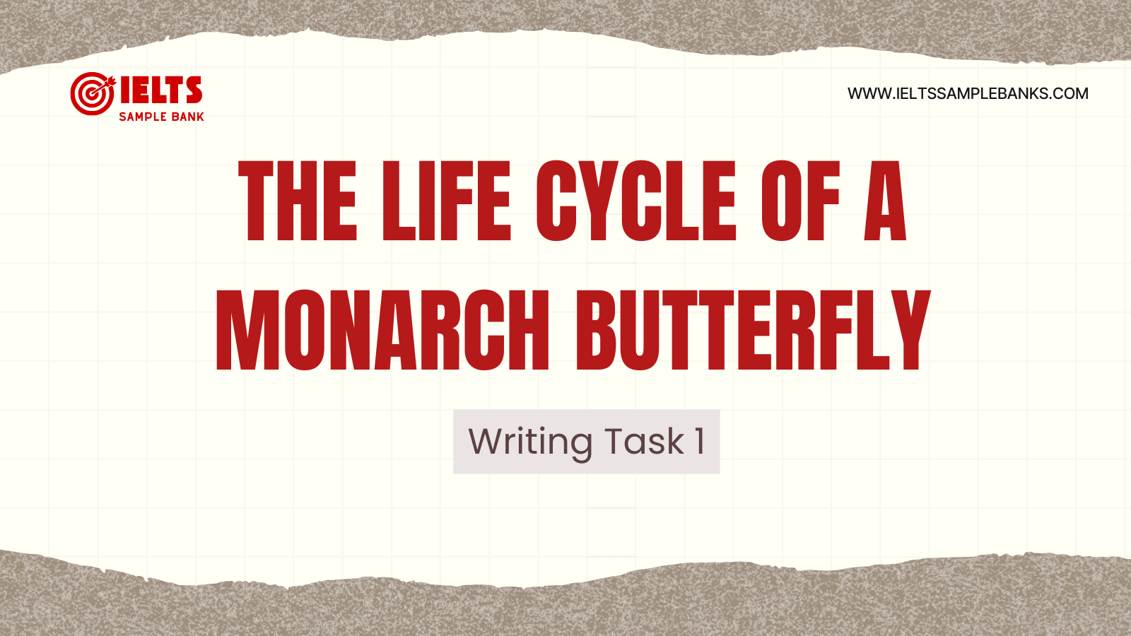 Diagram Shows The Life Cycle of A Monarch Butterfly IELTS Model Answers