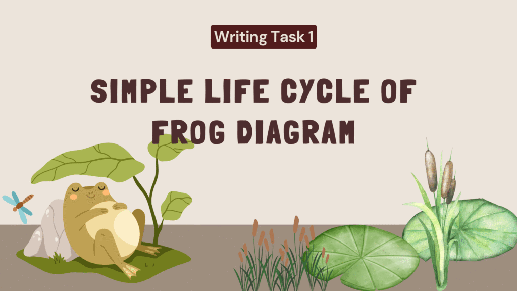 IELTS Writing Task 1: Simple Life Cycle of Frog Diagram Guide